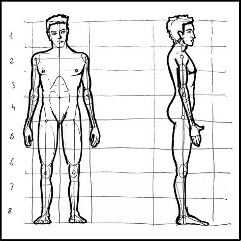 C Mo Aprender A Dibujar La Figura Humana Y Sus Proporciones