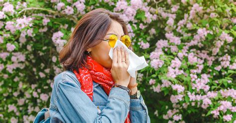 Infographic Tips For Avoiding Seasonal Allergy Flare Ups