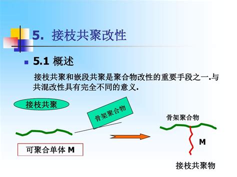 5接枝共聚合word文档在线阅读与下载无忧文档