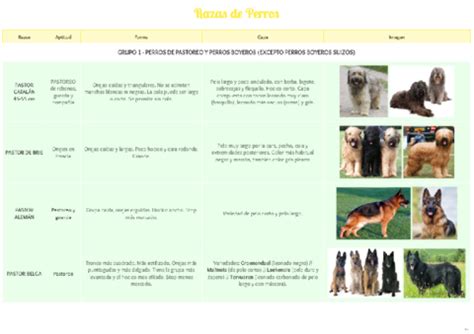 Clasificacion De Razas Canino Y Felino Pdf