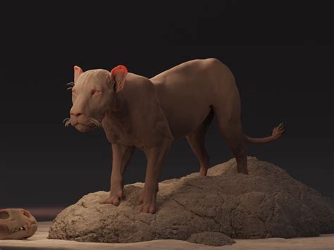 An Amazing 3d Model For Creatureanimal With Uv Done And Texture Maps