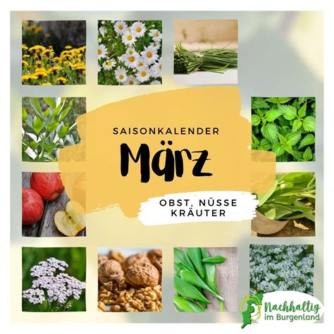 Saisonkalender März Nachhaltig im Burgenland