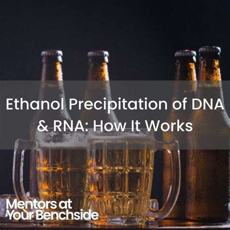 Mentors At Your Benchside Ethanol Precipitation Of DNA And RNA How