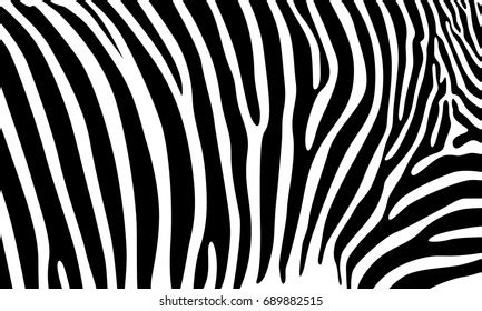 Realistic Abstract Zebra Skin Pattern Vector Stock Vector Royalty Free