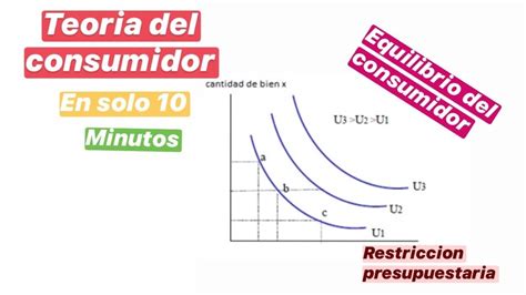 Teoria Del Consumidor Curva De Indiferencia Y Equilibrio Del