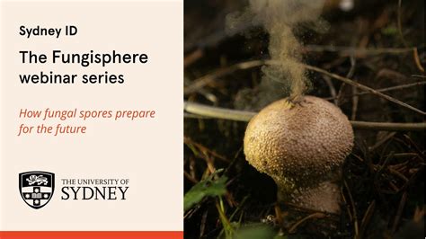 The Fungisphere - How fungal spores prepare for the future - YouTube