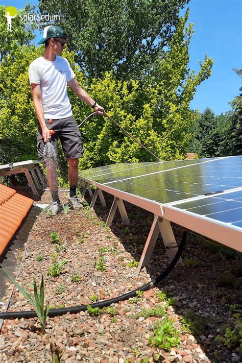 Zonnepanelen Schoonmaken Voor Optimale Opbrengst Groene Daken