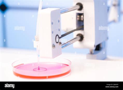 D Bioprinter Preparados Para D C Lulas De Impresi N En Un Electrodo