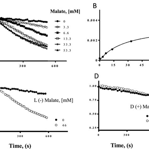 Nile Red Efflux Is Dramatically Lower In The Pseudomonas Aeruginosa