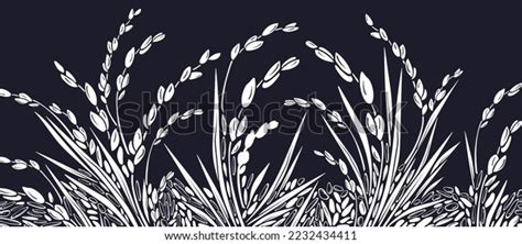 Rice Plant White Grain Vector Paddy Stock Vector Royalty Free 2232434411 Shutterstock