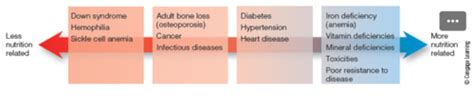 Unit 1 Overview Of Nutrition And Assessment Of Nutritional Status