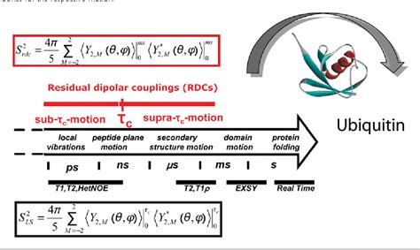 Figure 1 From Residual Dipolar Couplings As A Tool To Study Molecular