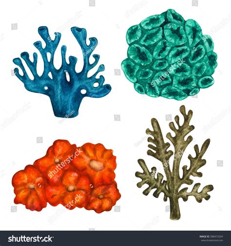 53 Seaweed Cacti Images Stock Photos And Vectors Shutterstock