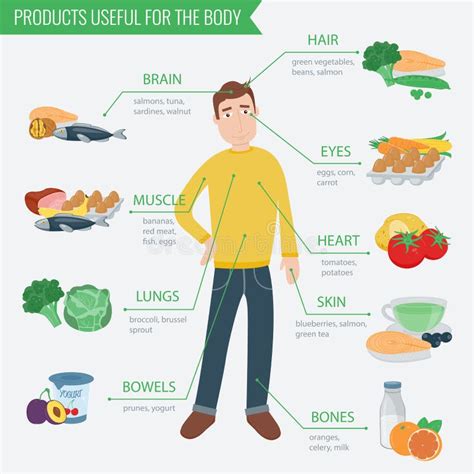 Healthy Food For Human Body Healthy Eating Infographic Food And Drink