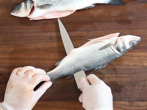 Basics How To Fillet A Fish Saveur