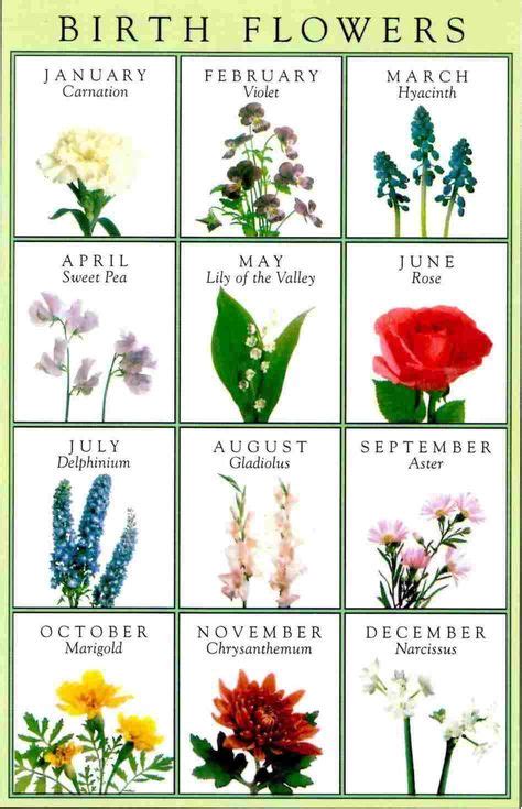 List Of Birth Flowers By Month