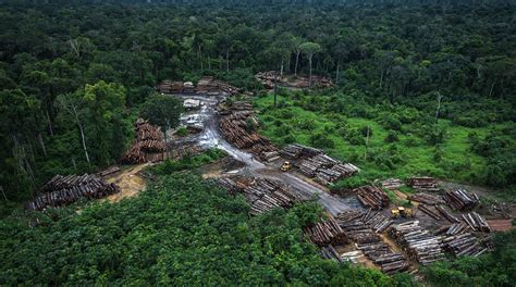 Desmatamento na Amazônia em abril foi 171 maior que o ano passado