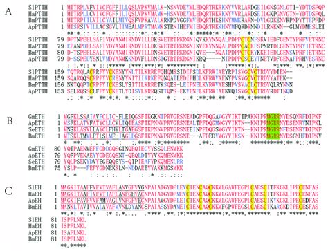 Sequence Alignment Of The Deduced Amino Acid Sequences Of Ptth A Eth