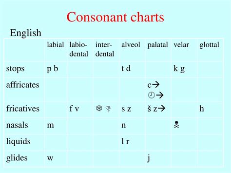 Ppt Spoken Language Phonetics Consonant Articulation Transcription