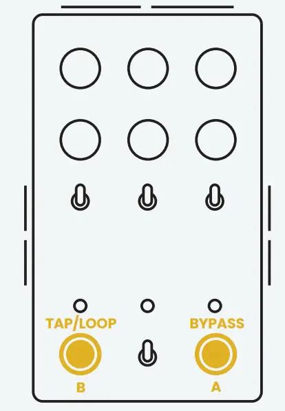 Chase Bliss Reverse Mode C Instruction Manual