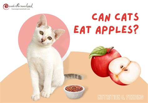 Can Cats Eat Apples An Vet Approved Guide To Feed Your Cat