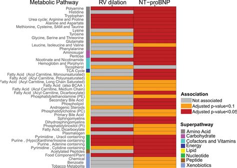 Metabolomic Signatures Associated With Pulmonary Arterial Hypertension