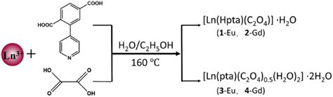 Synthetic Route Of Complexes 14 Download Scientific Diagram