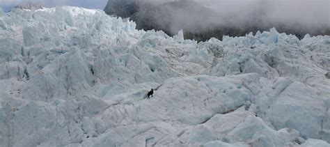 JWM: Himalayan tahr surveys inform management in New Zealand - The ...