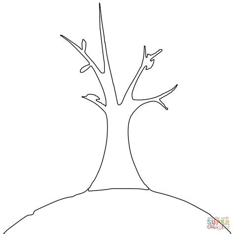 Arbol Sin Hojas Para Dibujar Facil Clip Art Library The Best