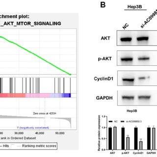 AC099850 3 Affect The Activity Of The PI3K AKT Pathway Notes A GSEA