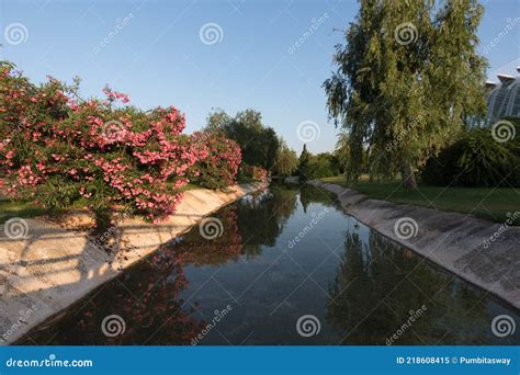 Valencia Spain Turia Gardens Park Made In Old Riverbed Reflection In