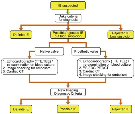 Jcs Guideline On Prevention And Treatment Of Infective Endocarditis