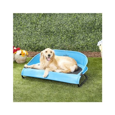 The 10 Best Cooling Dog Beds for Your Pup | The Kitchn