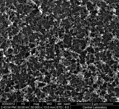 16 Cross Sectional SEM Images Of Ternary MMMs Containing 30 W W Of