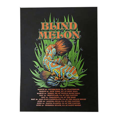 Artwork Blind Melon Official Shop