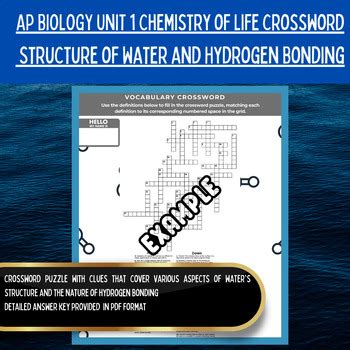 AP Biology Activity Unit 1 Chemistry Of Life Structure Of Water Hydrogen