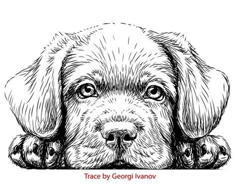 Cute Dog Tracing - Dezin