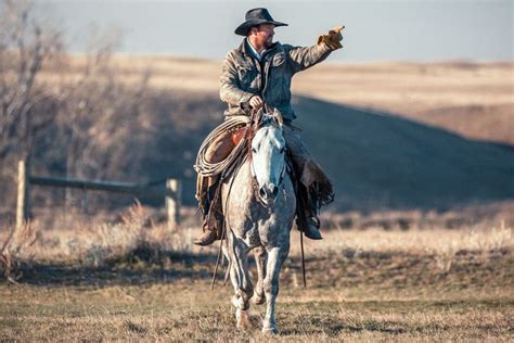 20+ Photos of Cattle Drive - Todd Klassy Photography | Cattle drive ...