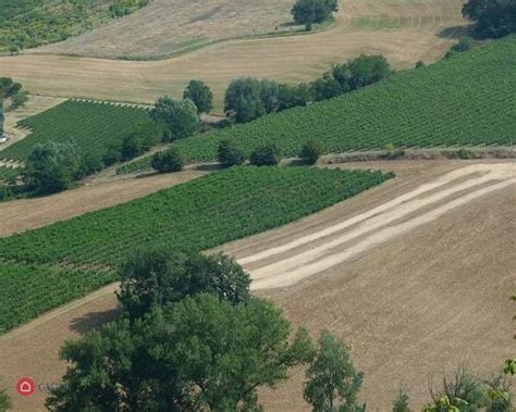 Terreni Agricoli In Vendita A Imola In Zona Pedagna Casa It