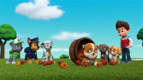 Watch Paw Patrol Season 8 Episode 12 Paw Patrol Pups Stop A Super