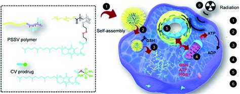 Recent Advances In Redox Responsive Nanoparticles For Combined Cancer