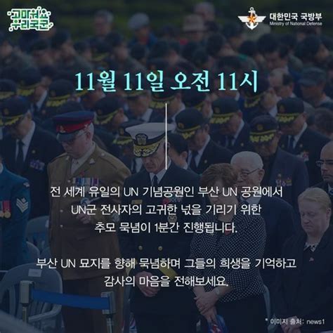 11월 11일 오전 11시 유머 움짤 이슈 에펨코리아