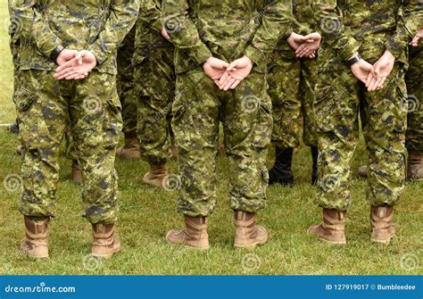 Canada Military Uniform Canadian Troops Stock Image Image Of Green