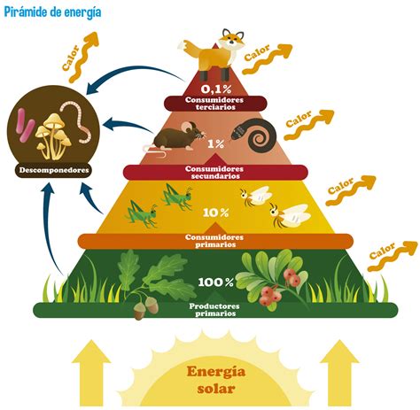 Escenario Natural Mind Map