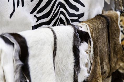 Pieles Animales En Un Mercado Del Arte Foto De Archivo Imagen De Cubo