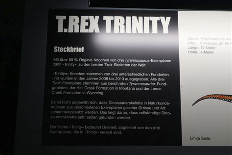 Tyrannosaurus Rex Trinity Prozent Des Skelett Sind Ec Flickr