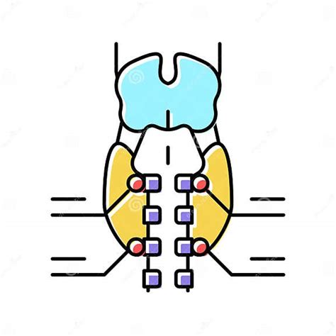 Parathyroid Gland Endocrinology Color Icon Vector Illustration Stock