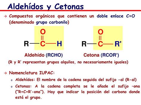 PPT Grupos Funcionales índice PowerPoint Presentation ID 865657