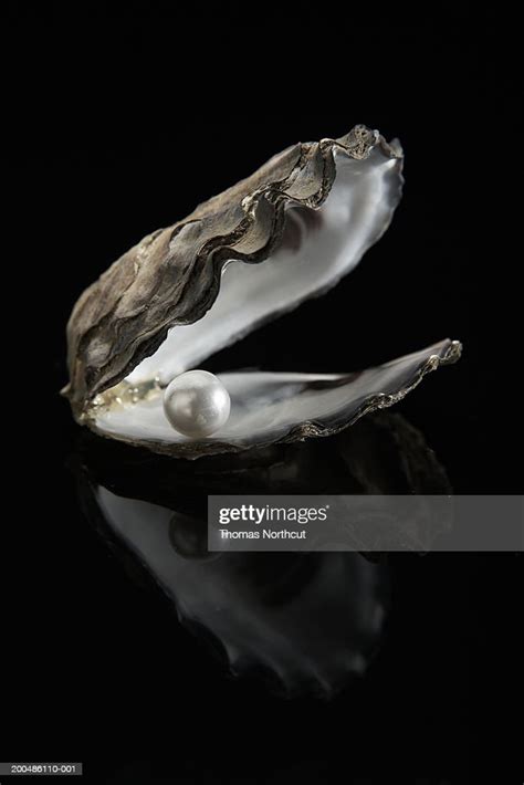 Pearl Inside Oyster Shell Photo Getty Images