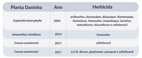 Herbicidas Inibidores Da Protox Mecanismo E Modo De A O